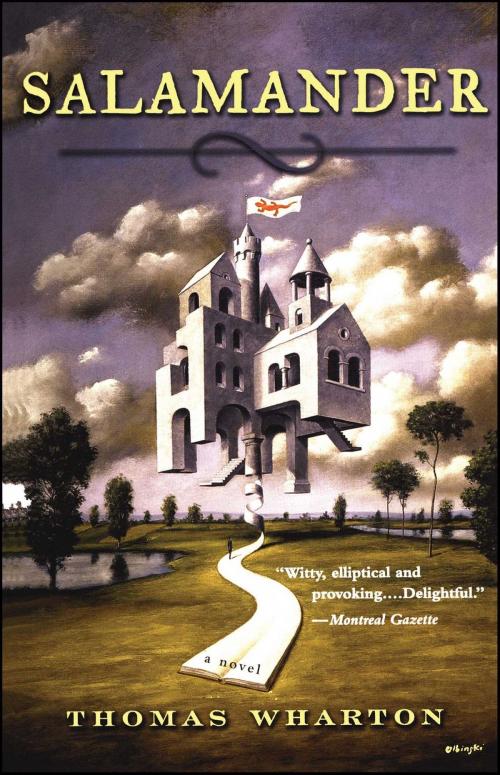 Cover of the book Salamander by Thomas Wharton, Washington Square Press
