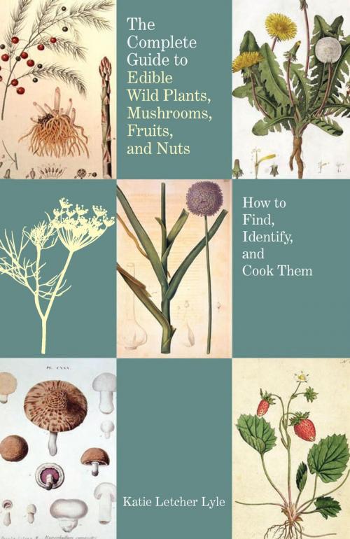 Cover of the book Complete Guide to Edible Wild Plants, Mushrooms, Fruits, and Nuts by Katie Letcher Lyle, Falcon Guides