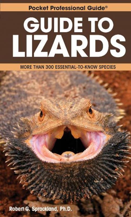 Cover of the book Guide to Lizards by Robert G. Sprackland, Ph.D., TFH Publications, Inc.