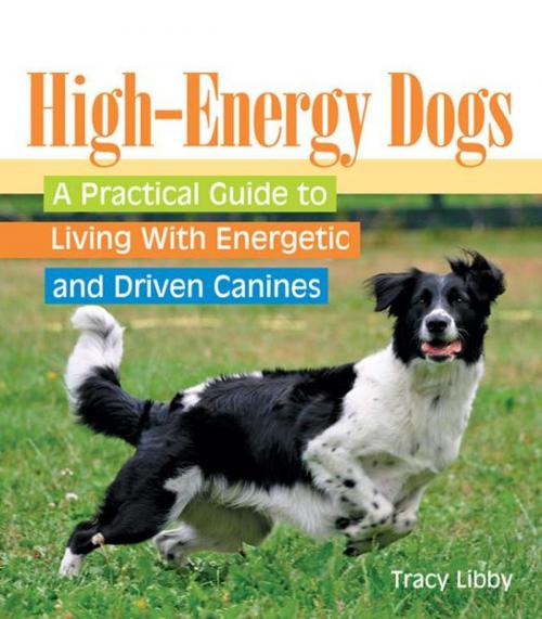 Cover of the book High-Energy Dogs by Tracy Libby, TFH Publications, Inc.