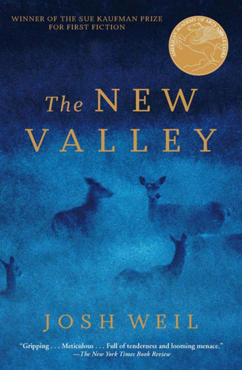 Cover of the book The New Valley by Josh Weil, Grove Atlantic