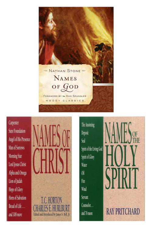 Cover of the book Names of God/Names of Christ/Names of the Holy Spirit Set by T.C. Horton, Ray Pritchard, Charles E. Hurlburt, Nathan Stone, Moody Publishers