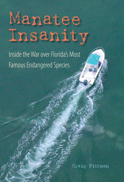 Cover of the book Manatee Insanity by Craig Pittman, University Press of Florida
