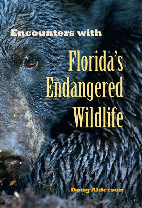 Cover of the book Encounters with Florida's Endangered Wildlife by Doug Alderson, University Press of Florida
