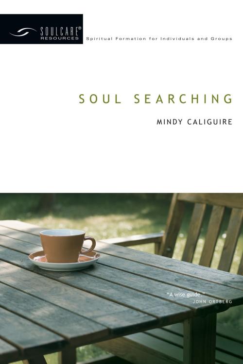 Cover of the book Soul Searching by Mindy Caliguire, IVP Connect