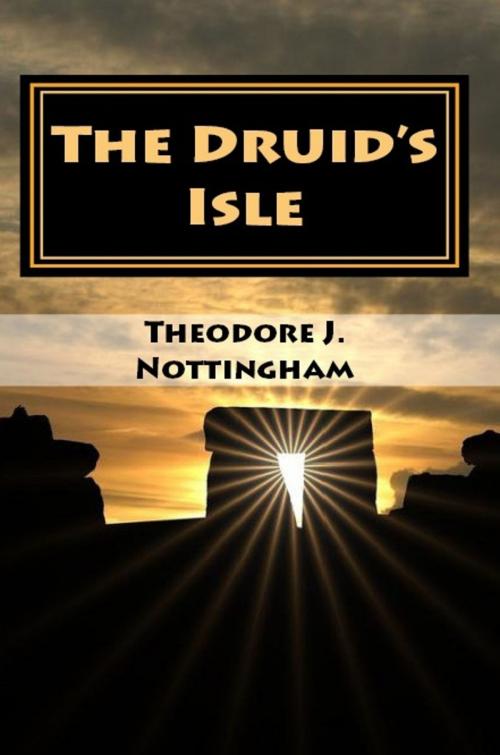 Cover of the book The Druid's Isle by Theosis Books, Theosis Books