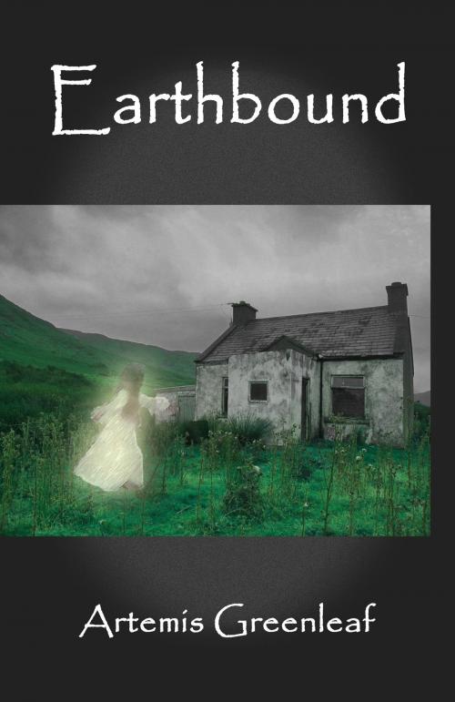 Cover of the book Earthbound by Artemis Greenleaf, Black Mare Books