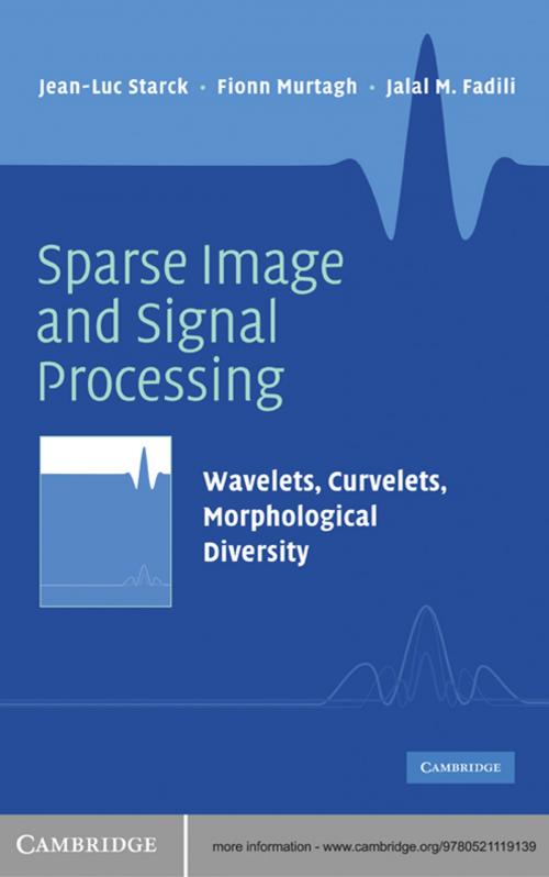 Cover of the book Sparse Image and Signal Processing by Jean-Luc  Starck, Fionn  Murtagh, Jalal M. Fadili, Cambridge University Press