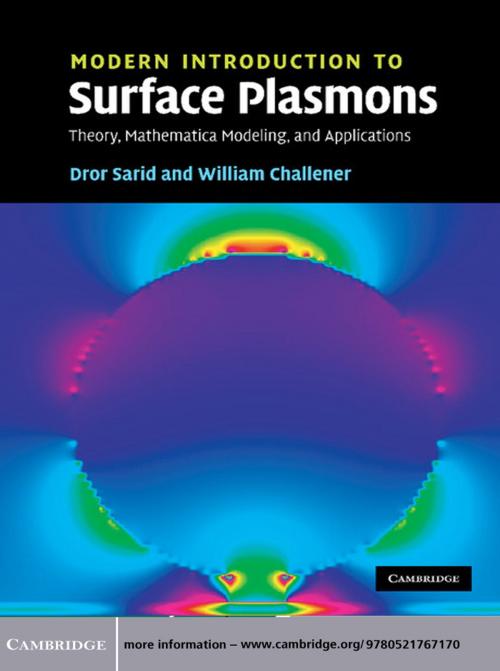 Cover of the book Modern Introduction to Surface Plasmons by Dror Sarid, William A. Challener, Cambridge University Press
