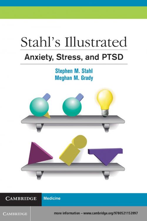 Cover of the book Stahl's Illustrated Anxiety, Stress, and PTSD by Stephen M. Stahl, Meghan M. Grady, Cambridge University Press