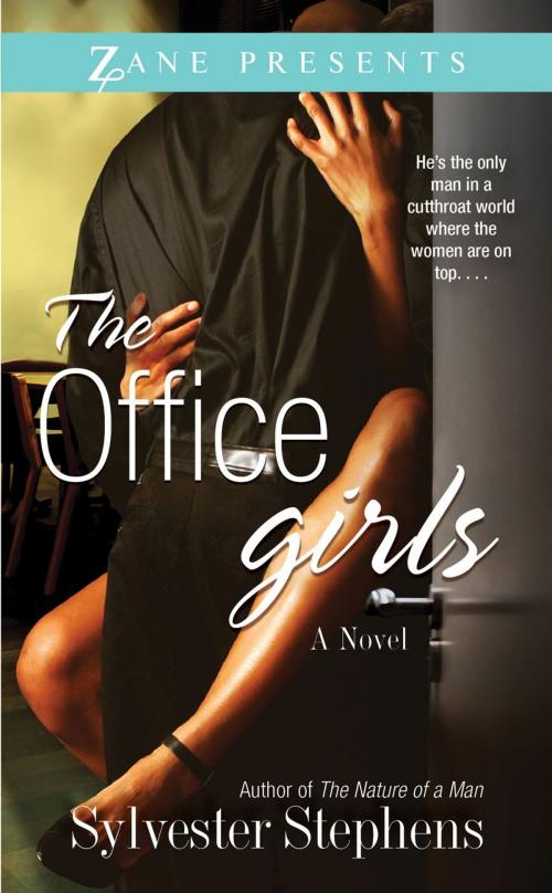 Cover of the book The Office Girls by Sylvester Stephens, Strebor Books