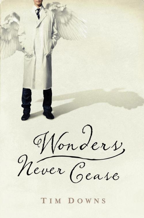 Cover of the book Wonders Never Cease by Tim Downs, Thomas Nelson