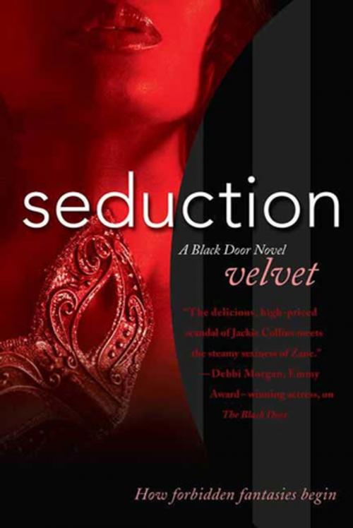 Cover of the book Seduction by Velvet, St. Martin's Press