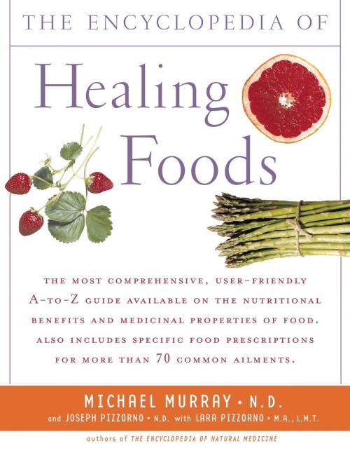 Cover of the book The Encyclopedia of Healing Foods by Michael T. Murray, M.D., Joseph Pizzorno, Atria Books
