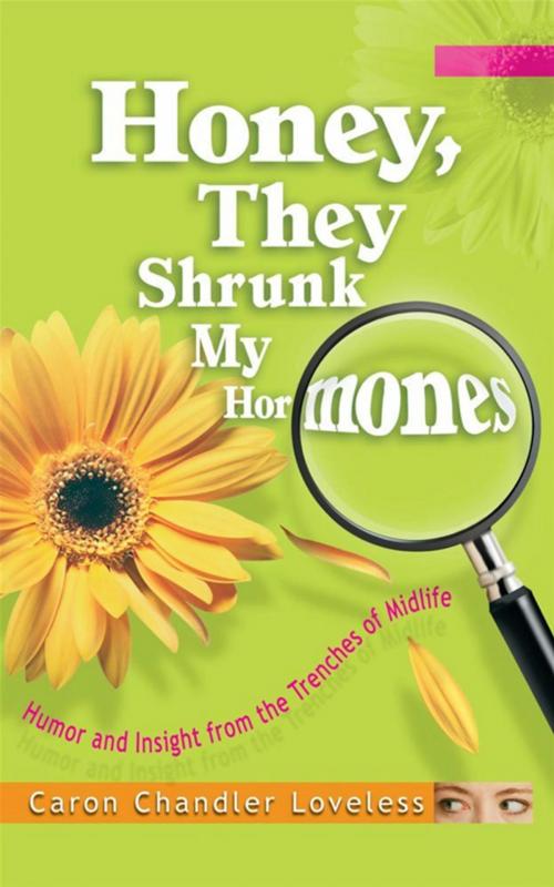 Cover of the book Honey, They Shrunk My Hormones by Caron Chandler Loveless, Howard Books