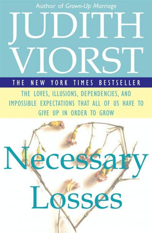 Cover of the book Necessary Losses by Judith Viorst, Simon & Schuster