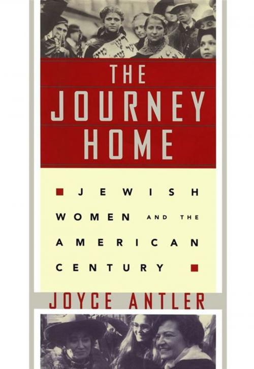 Cover of the book The Journey Home by Joyce Antler, Free Press