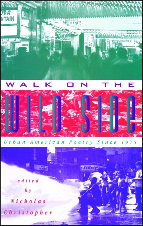 Cover of the book Walk On The Wild Side by Nicholas Christopher, Touchstone