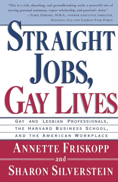 Cover of the book Straight Jobs Gay Lives by Sharon Silverstein, Annette Friskopp, Touchstone