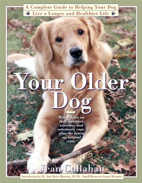 Cover of the book Your Older Dog by Jean Callahan, Touchstone