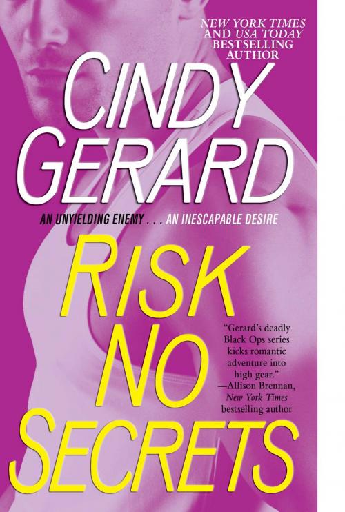 Cover of the book Risk No Secrets by Cindy Gerard, Pocket Books