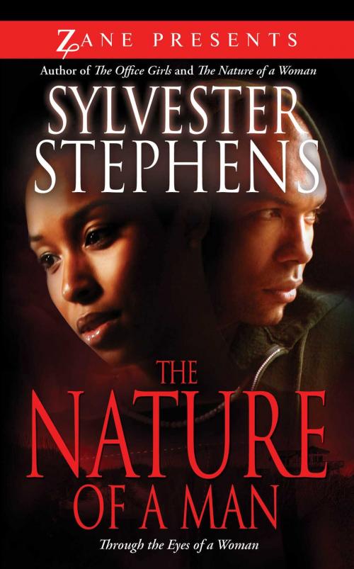 Cover of the book The Nature of a Man by Sylvester Stephens, Strebor Books