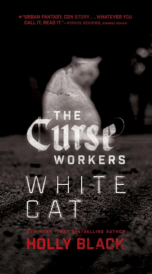 Cover of the book White Cat by Holly Black, Margaret K. McElderry Books