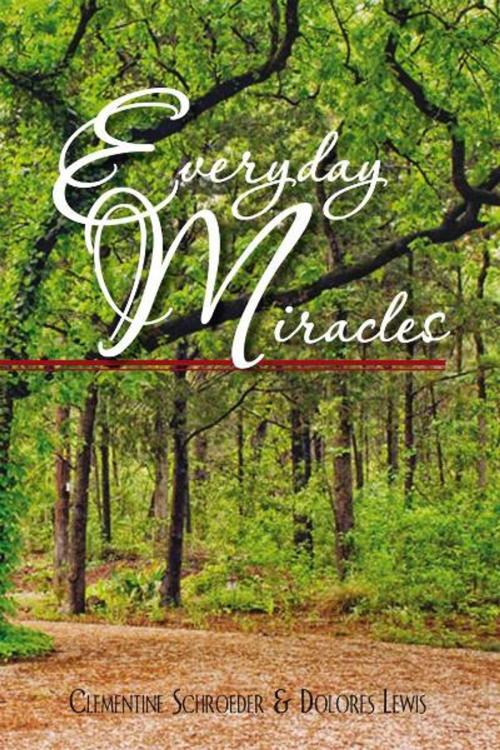Cover of the book Everyday Miracles by Clementine Schroeder, Dolores Lewis, Xlibris US