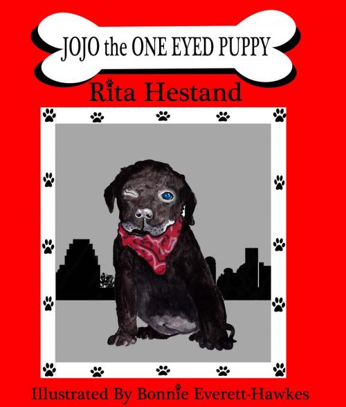 Cover of the book Jojo The One Eyed Puppy by Rita Hestand, Rita Hestand