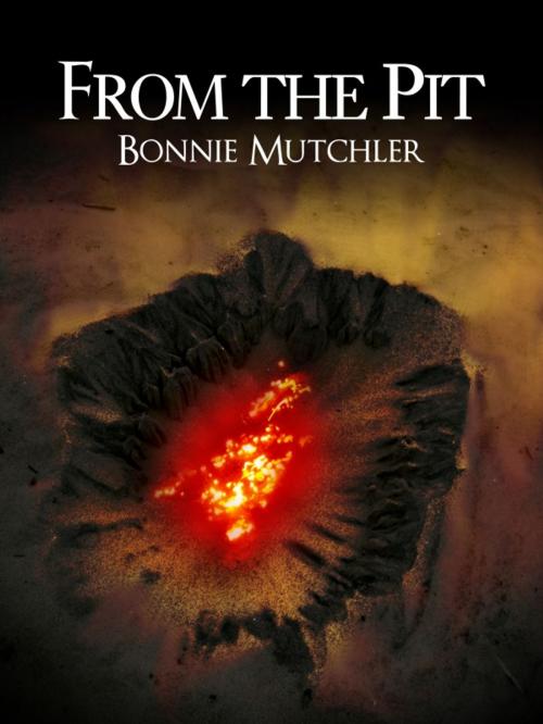 Cover of the book From the Pit by Bonnie Mutchler, Bonnie Mutchler