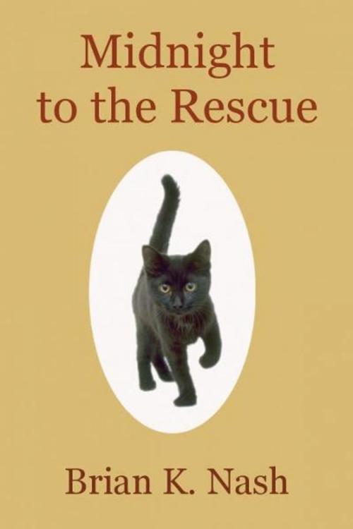 Cover of the book Midnight to the Rescue by Brian Nash, Brian Nash