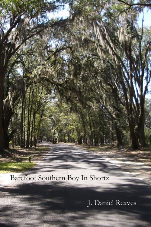 Cover of the book Barefoot Southern Boy In Shortz by J Daniel Reaves, J Daniel Reaves