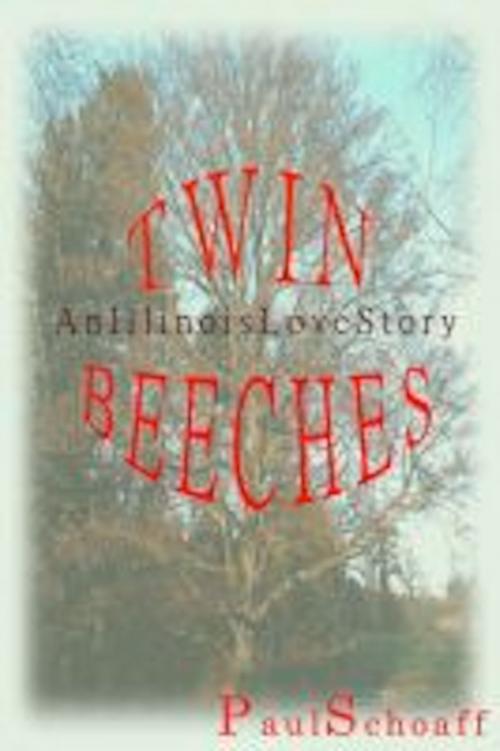 Cover of the book Twin Beeches: An Illinois Love Story by Paul Schoaff, Paul Schoaff