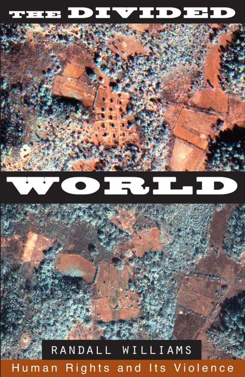 Cover of the book The Divided World by Randall Williams, University of Minnesota Press