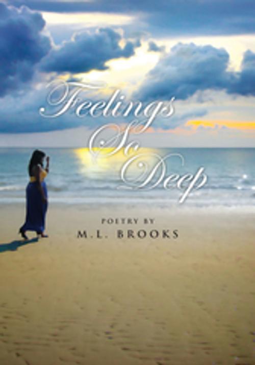 Cover of the book Feelings so Deep by M.L. Brooks, Xlibris US
