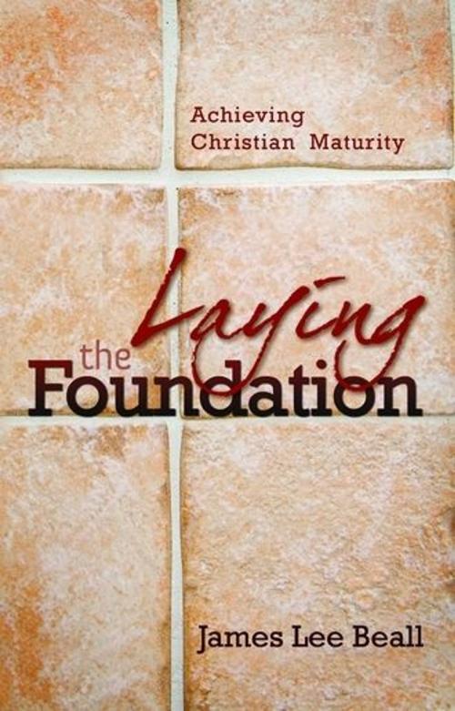 Cover of the book Laying The Foundation by James Lee Beall, ReadHowYouWant