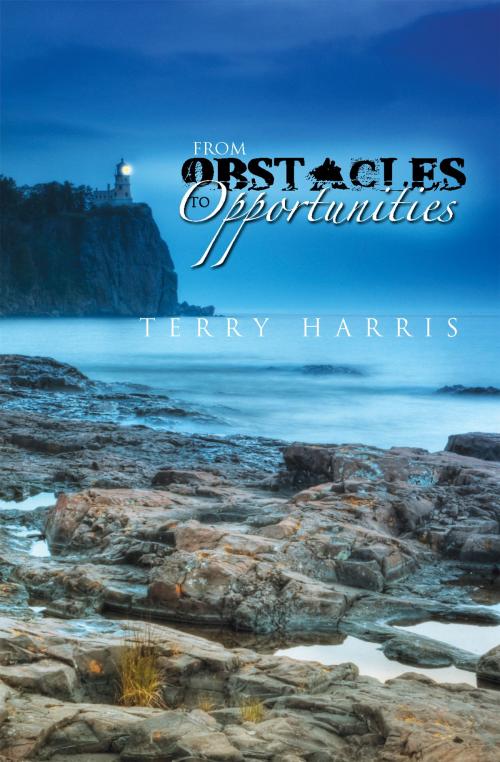 Cover of the book From Obstacles to Opportunities by Terry Harris, Essence Publishing