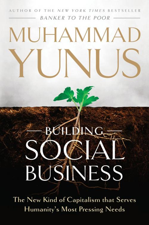 Cover of the book Building Social Business by Muhammad Yunus, PublicAffairs