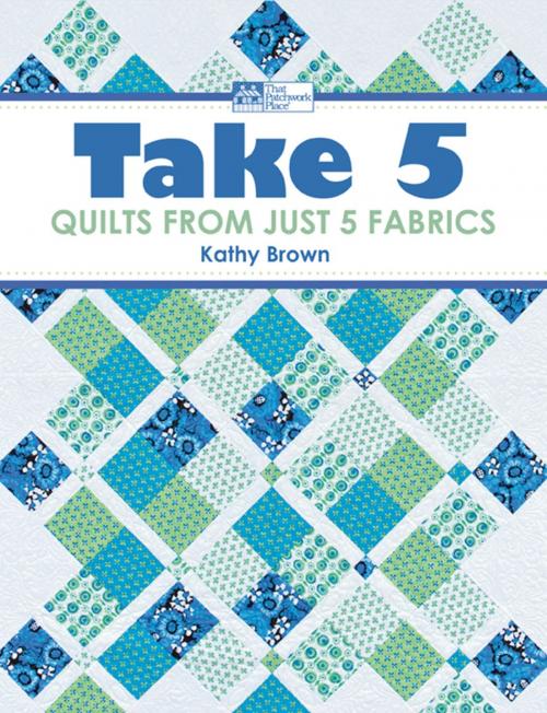Cover of the book Take 5 by Kathy Brown, Martingale