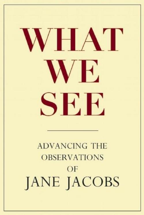 Cover of the book What We See by , New Village Press