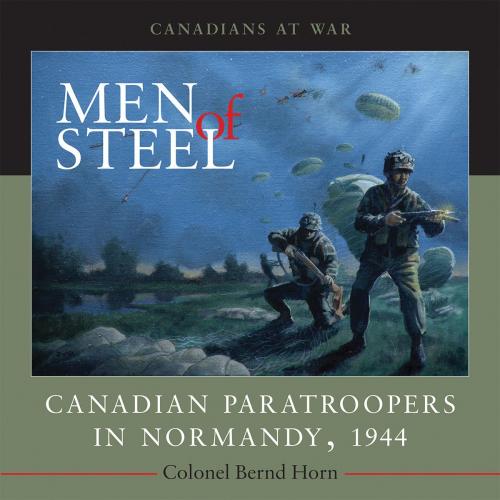 Cover of the book Men of Steel by Colonel Bernd Horn, Dundurn
