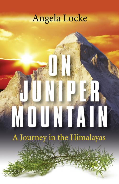 Cover of the book On Juniper Mountain by Angela Locke, John Hunt Publishing