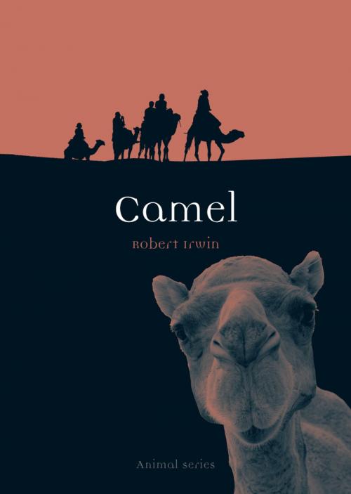 Cover of the book Camel by Robert Irwin, Reaktion Books