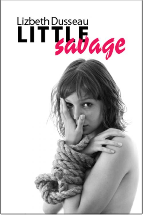 Cover of the book Little Savage by Lizbeth Dusseau, Pink Flamingo Publications