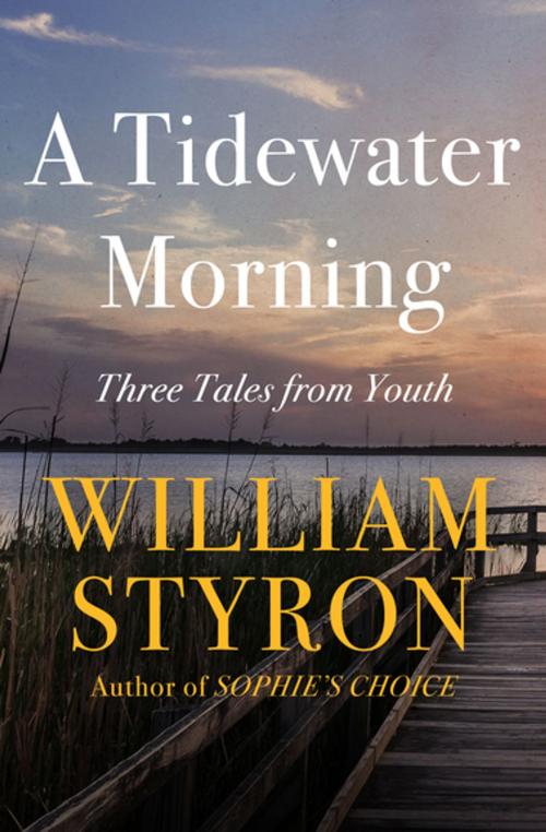 Cover of the book A Tidewater Morning by William Styron, Open Road Media