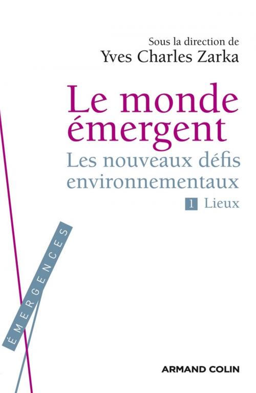 Cover of the book Le Monde émergent by Yves Charles Zarka, Armand Colin