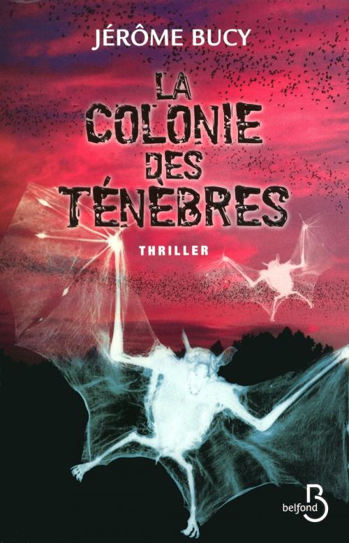 Cover of the book La Colonie des ténèbres by Jérôme BUCY, Place des éditeurs