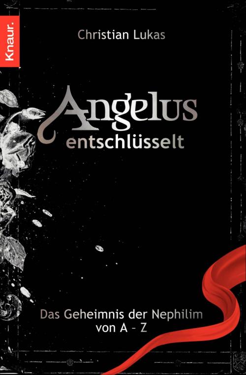 Cover of the book Angelus entschlüsselt by Christian Lukas, Knaur eBook