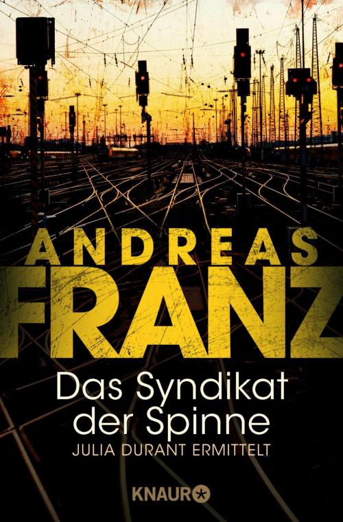 Cover of the book Das Syndikat der Spinne by Andreas Franz, Knaur eBook