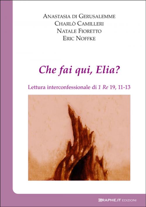 Cover of the book Che fai qui, Elia? by Natale P. Fioretto, Charlò Camilleri, Eric Noffke, Maria Anastasia di Gerusalemme, Maria Bonafede, Graphe.it